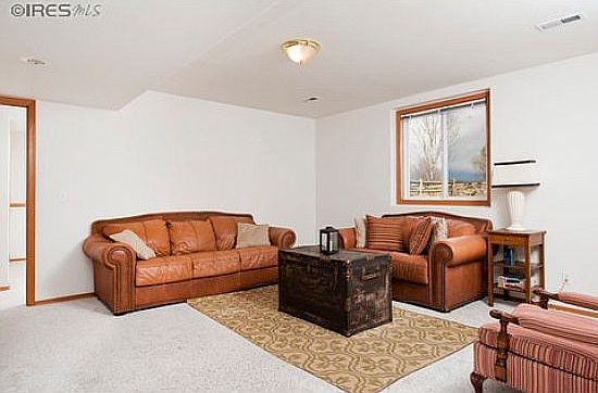 Basement living area