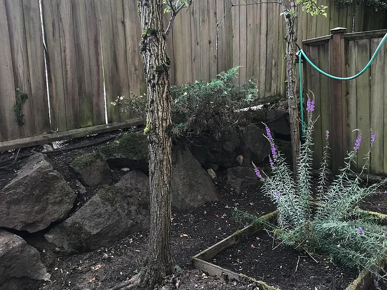 Patio area