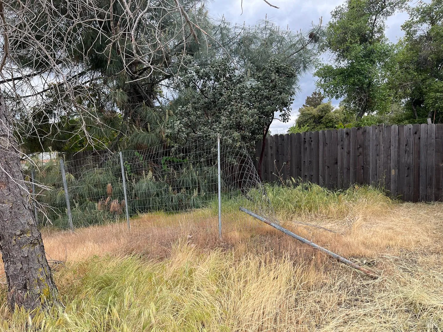 3561 Ciwa Street photo 1