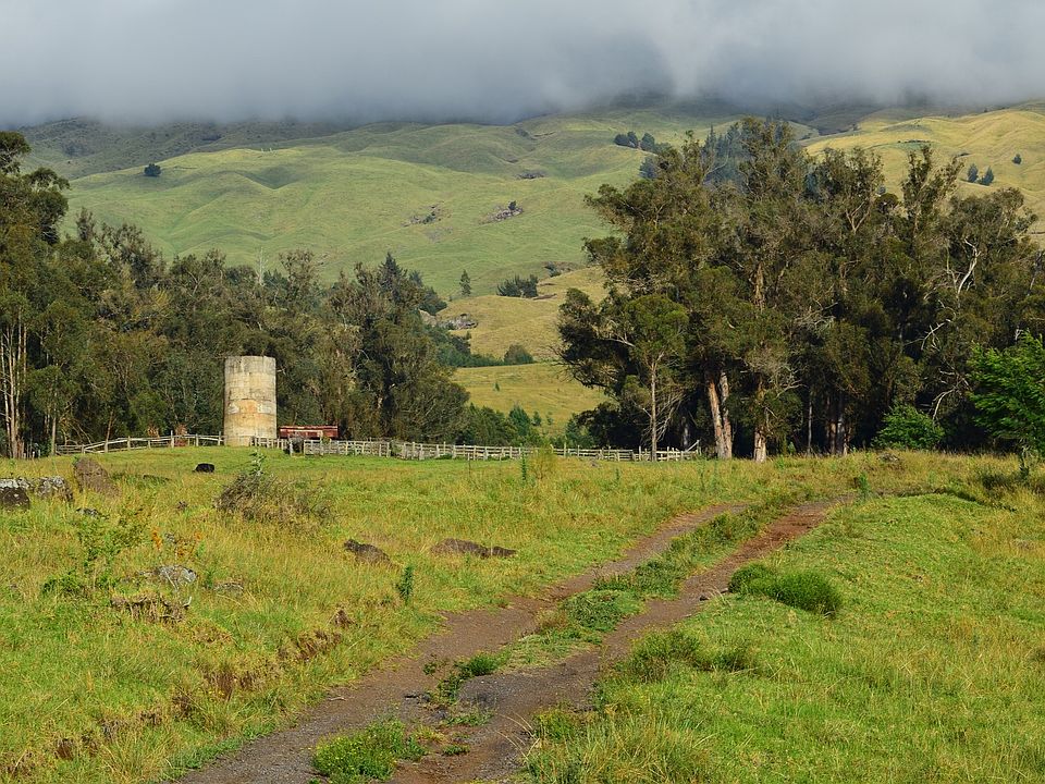 1st image of Kekaulike Ave