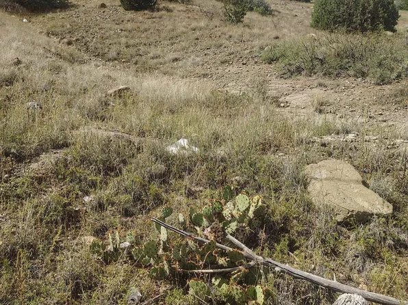 Xx Royal St, Bayard, NM 88023