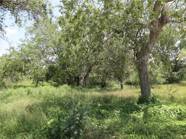 (undisclosed Address), Sinton, TX 78387