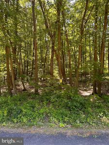 0 Kline Hollow Rd, Liverpool, PA, 17045