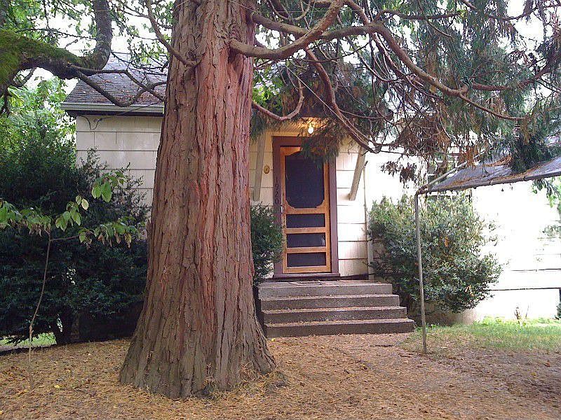 1st image of 1920 11th Ave SE