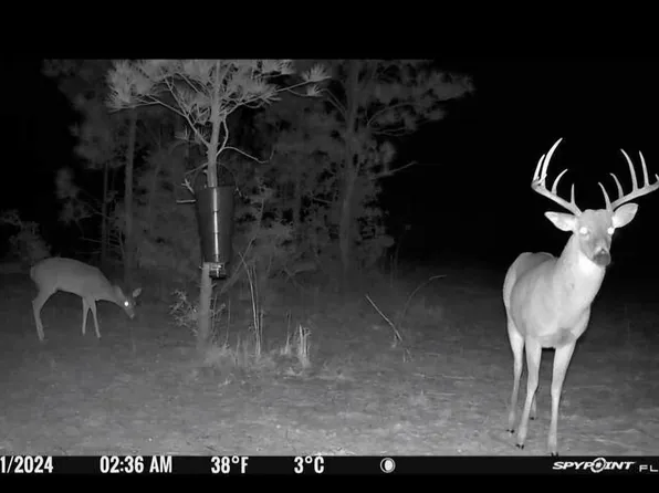 6122 Texas State Hwy #63-E, Jasper, TX 75951