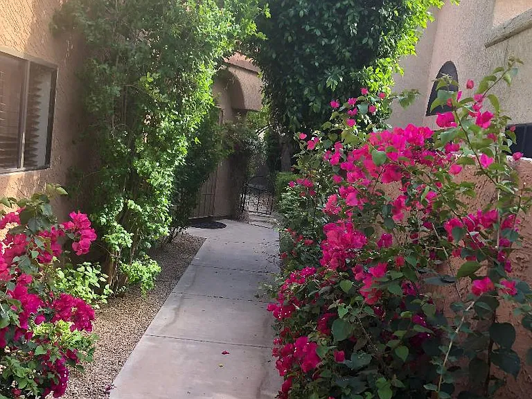 5505 E Desert Hills Dr — Photo 36