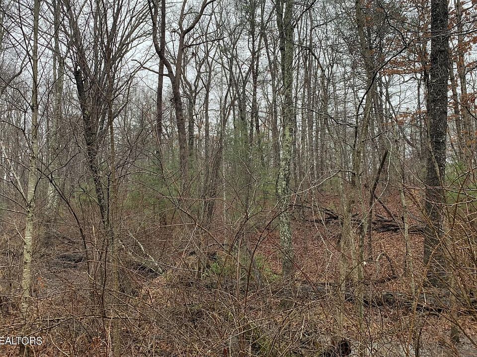 1st image of 217 Saint George Dr