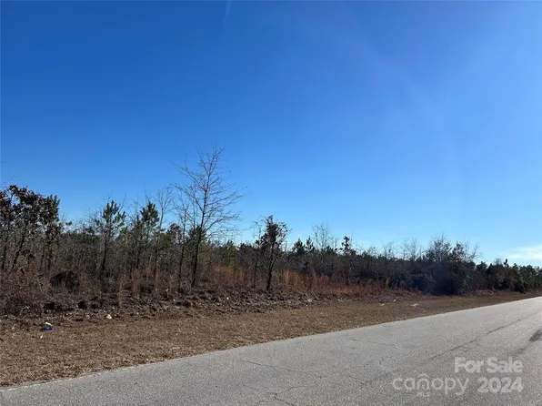LOT 4 Catawba Rd, Kershaw, SC 29067