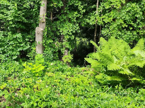 New Durham Road, Alton, NH 03809