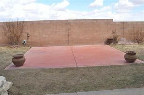Back yard