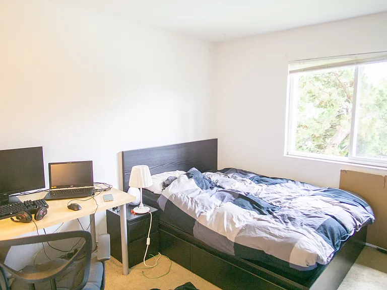 Lupine Ave — Photo 5