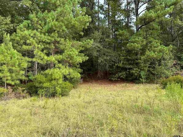 County Road 2217/2223, Rusk, TX 75785