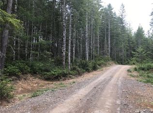 413 NE Dewatto Hills Rd, Tahuya, WA 98588