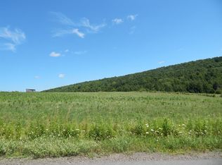 Parker Rd, Mount Vision, NY 13810