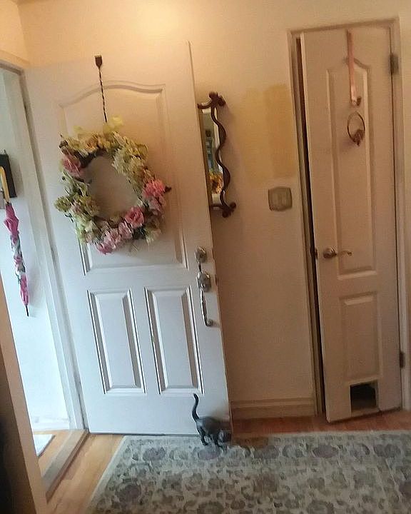 1st image of 212-91 16th Ave