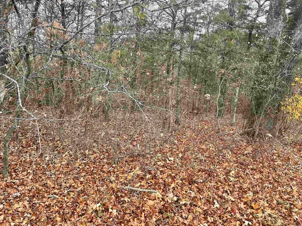 0 Ross Hollow Rd, Roland, AR 72135