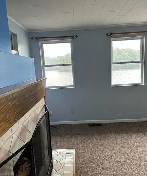 Living Room and Fireplace