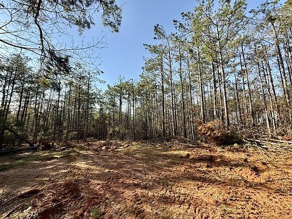 5th image of County Road 500