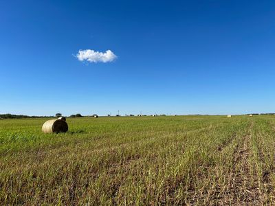 Ligon Rd, Graham, TX, 76450