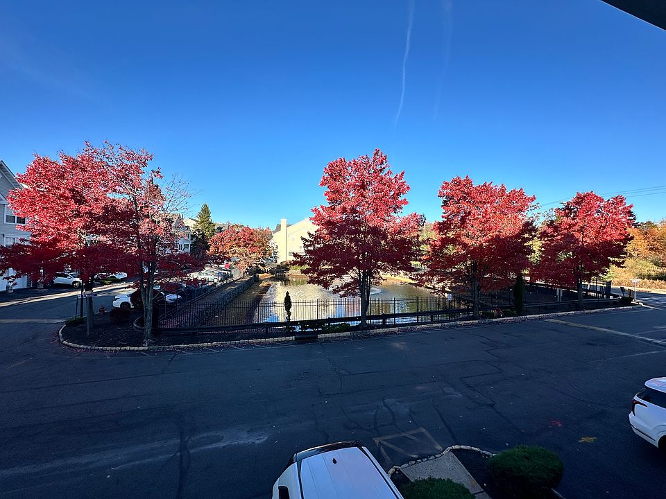 Pond view from the balcony