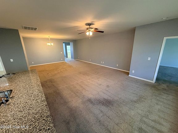 4th image of 319 Louisia Mae Way