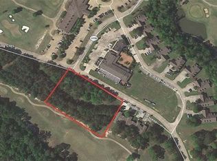 30684 Blue Wing Cres, Springfield, LA 70462