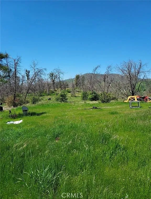 3109 Wild Dove Ln photo 1