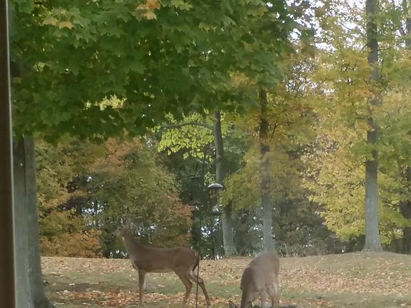Nature