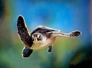 24 Vosburgh Rd, Averill Park, NY 12018