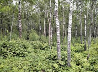 Benson Rd, Duluth, MN 55810