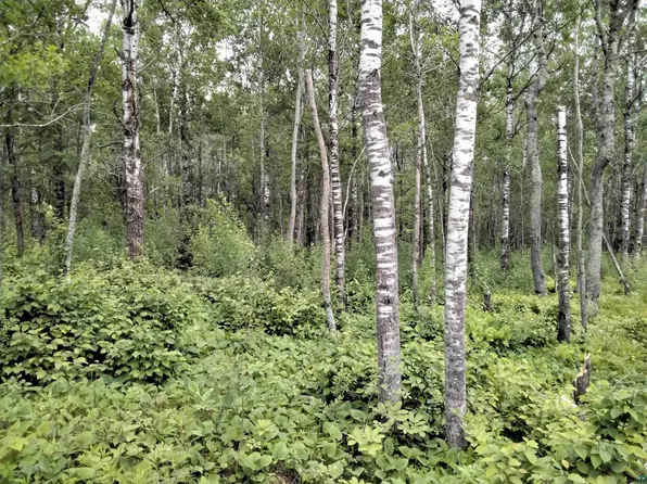 Benson Rd, Hermantown, MN 55811
