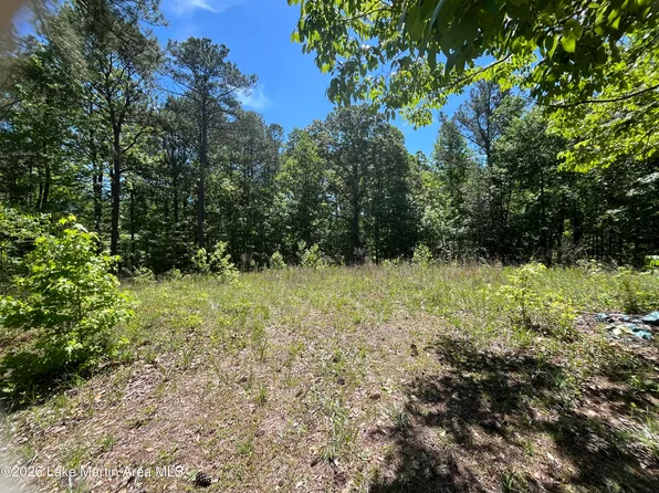 7 Turtleneck Road Coven Abbett Hwy, Alexander City, AL 35010