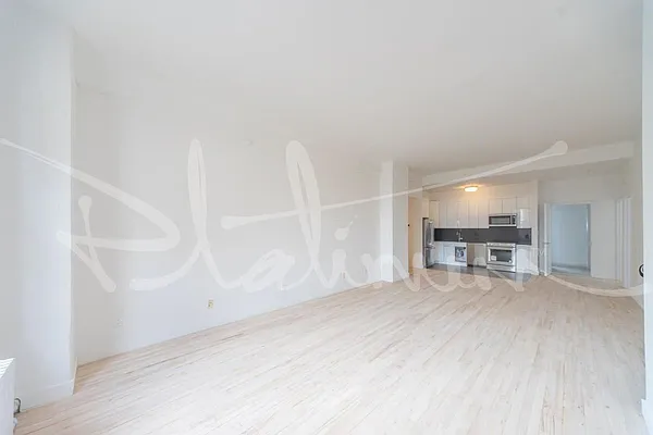 Rented by Platinum Properties | media 13