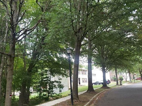 5th image of 10412 Wyld Dr