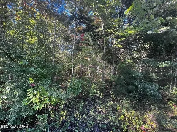 0 Falling Leaf Rd Lot 14-15, Jamestown, TN 38556