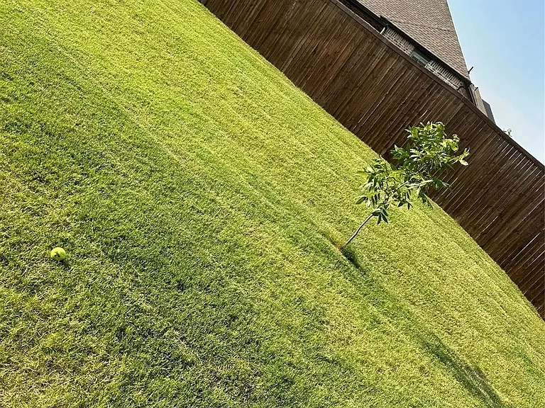 179 Cyprus Grove Dr — Photo 22