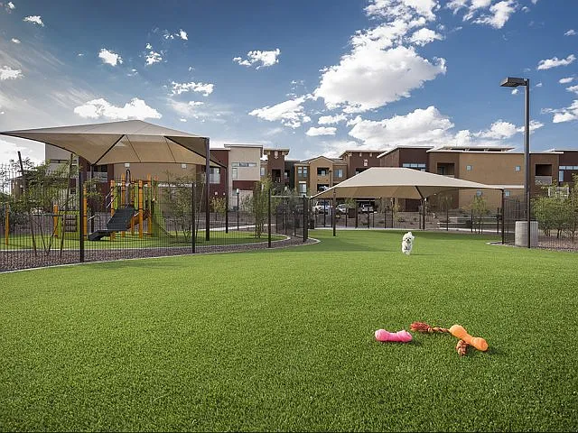 Bark Park