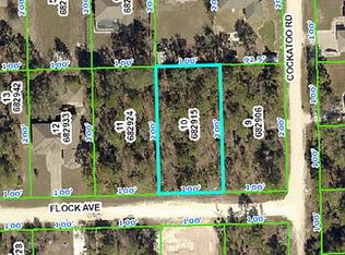 Flock Ave, Weeki wachee, FL 34613