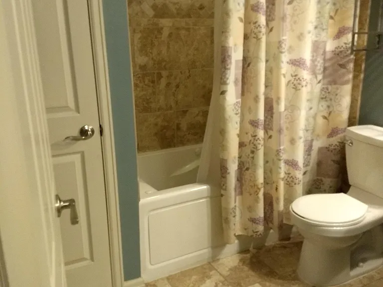 Basement bathroom with jetted tub