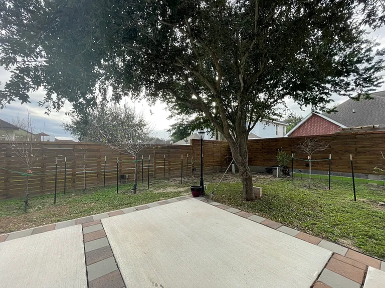 Patio & Backyard