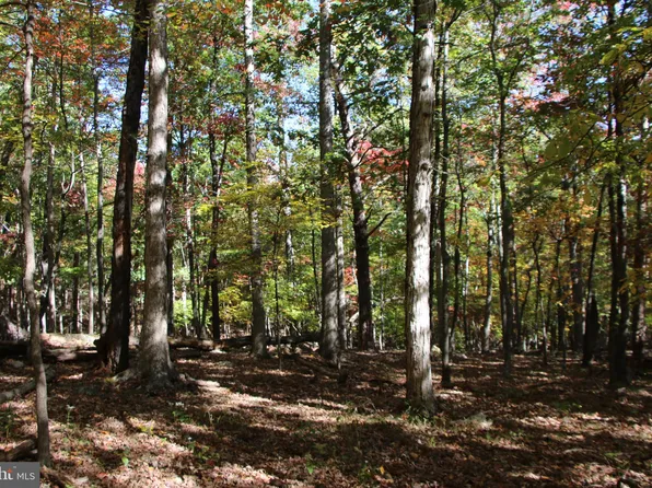 Back Rd, Toms Brook, VA 22660