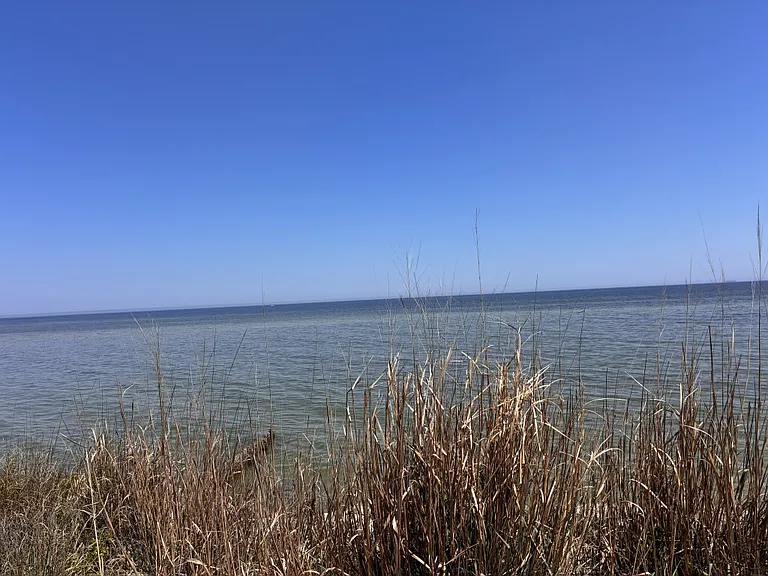 Water view of the Potomac River from front of property