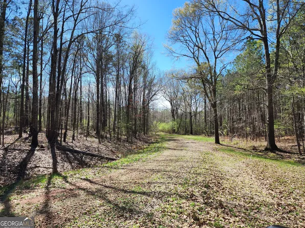 0 Deer Ridge Dr, Hamilton, GA 31811