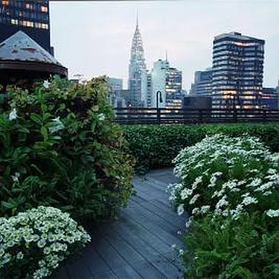 Sold by Corcoran | media 31