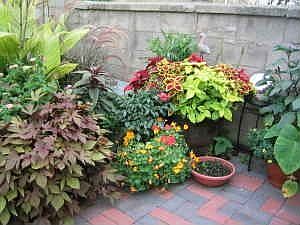 Patio in the summer !