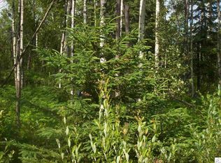 Xxx West Rd, Beaver Bay, MN 55601