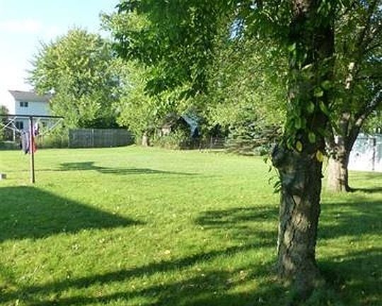 view of backyard