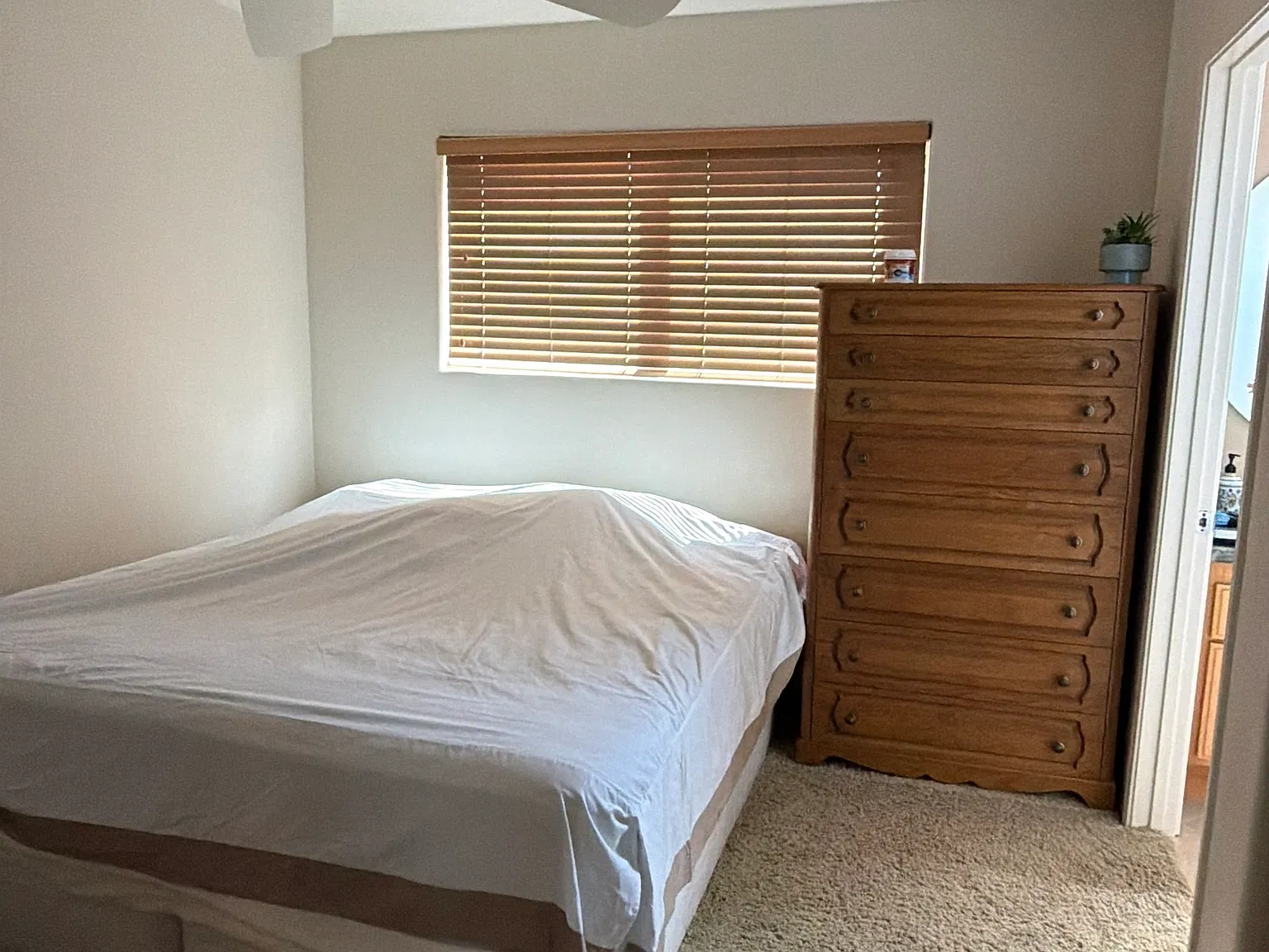 1 bed, 1564 sqft, $1,500 — Photo 3