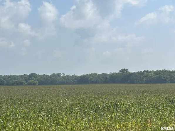 0 E 600th Rd N, Kilbourne, IL 62655