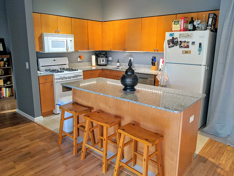 4848 N Sheridan Rd #302 — Photo 3